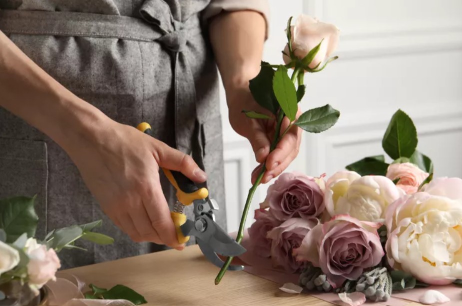 Preserving Cut Flowers